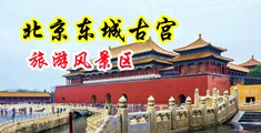 性感少妇大尺度叉逼视频中国北京-东城古宫旅游风景区